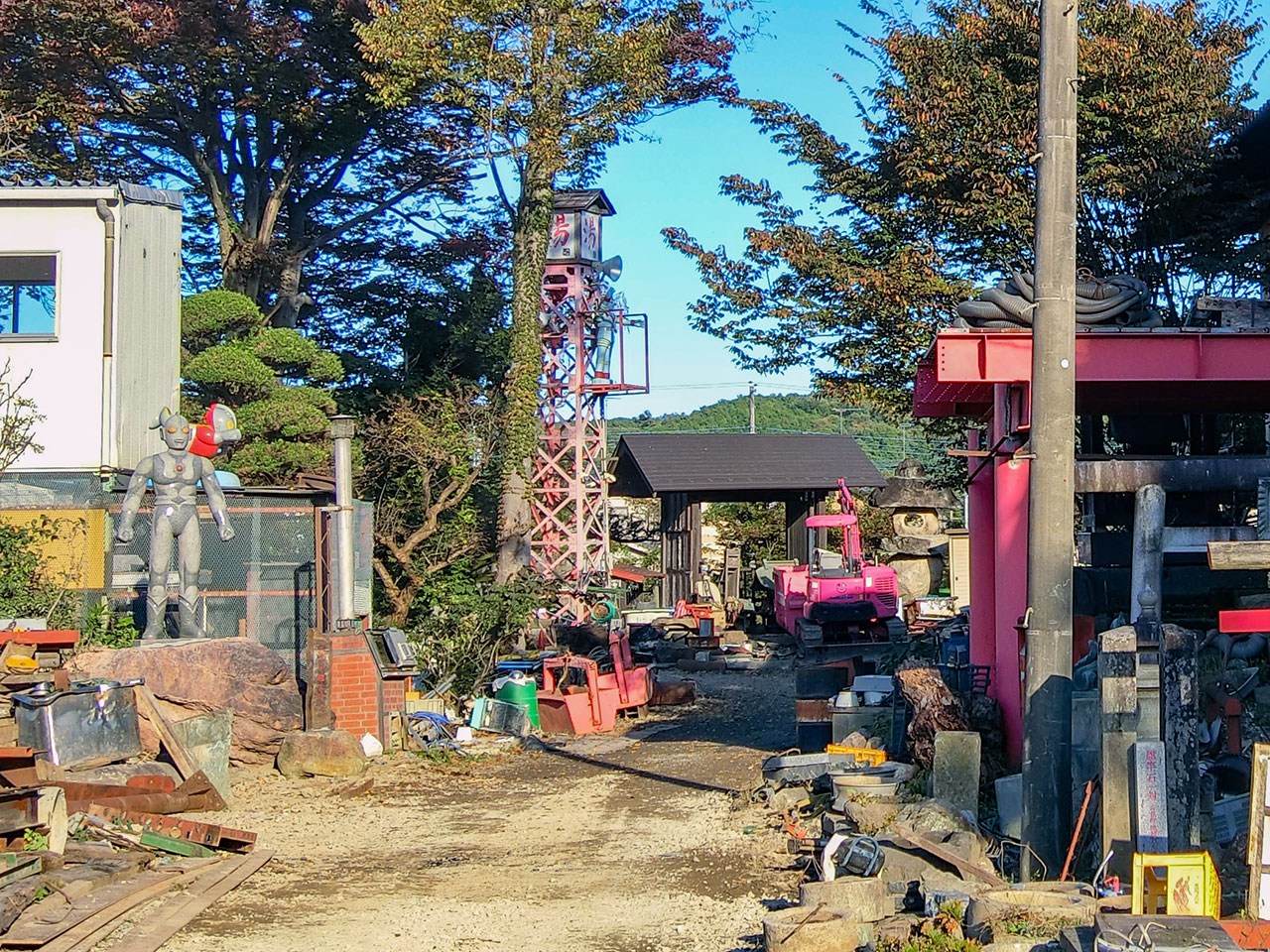 写真