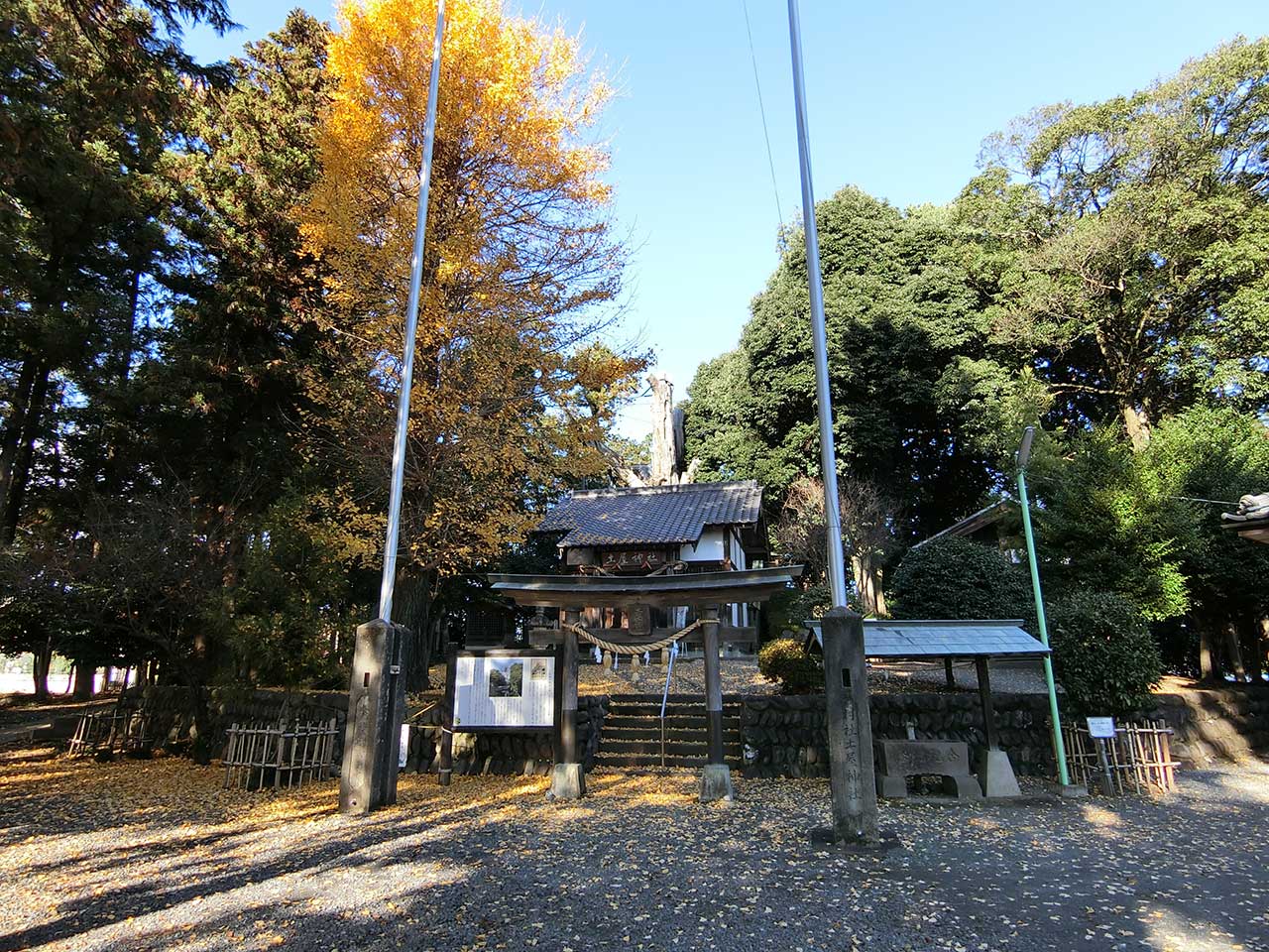 写真