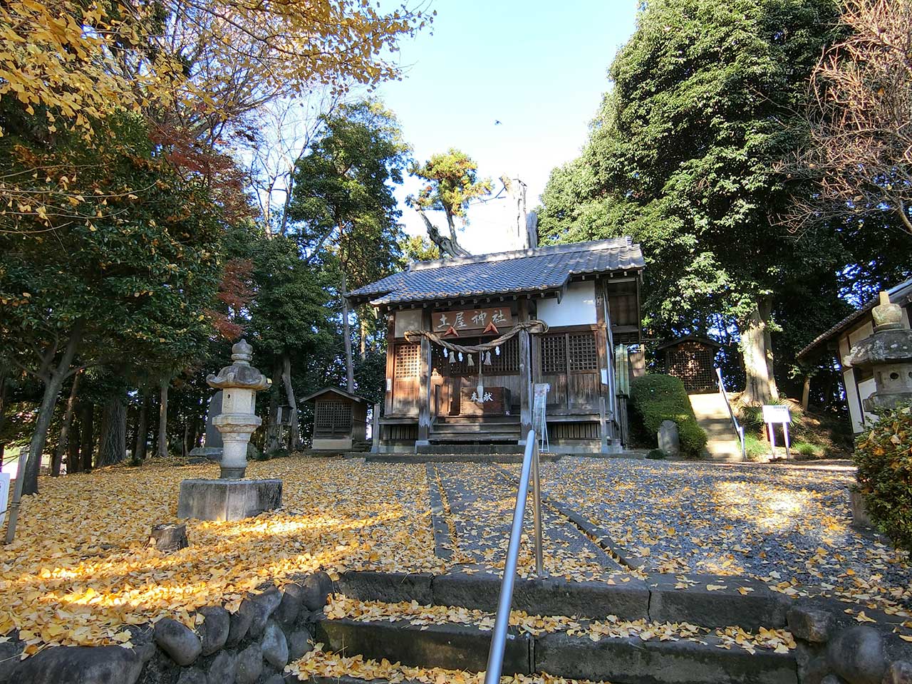 写真