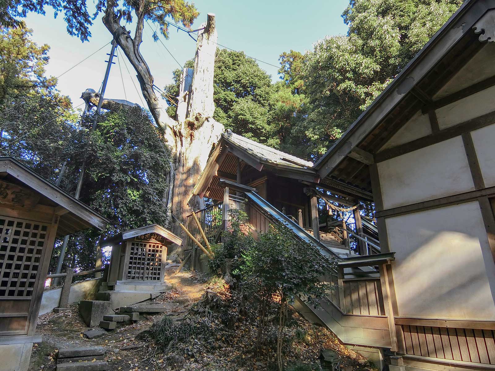 写真