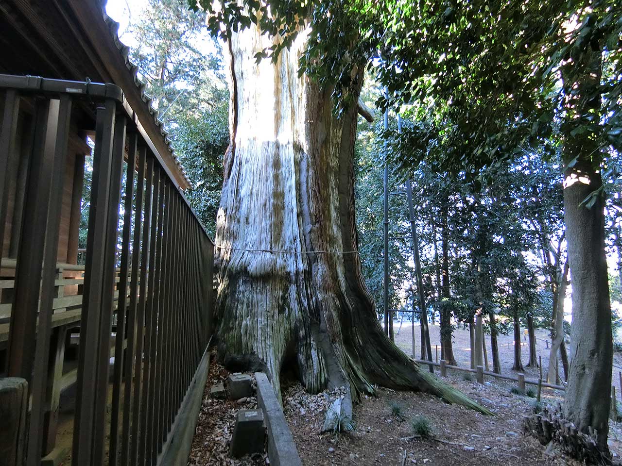 写真