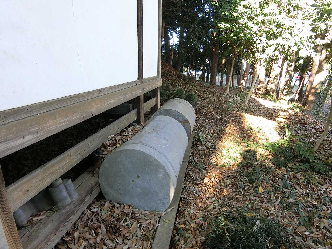 写真