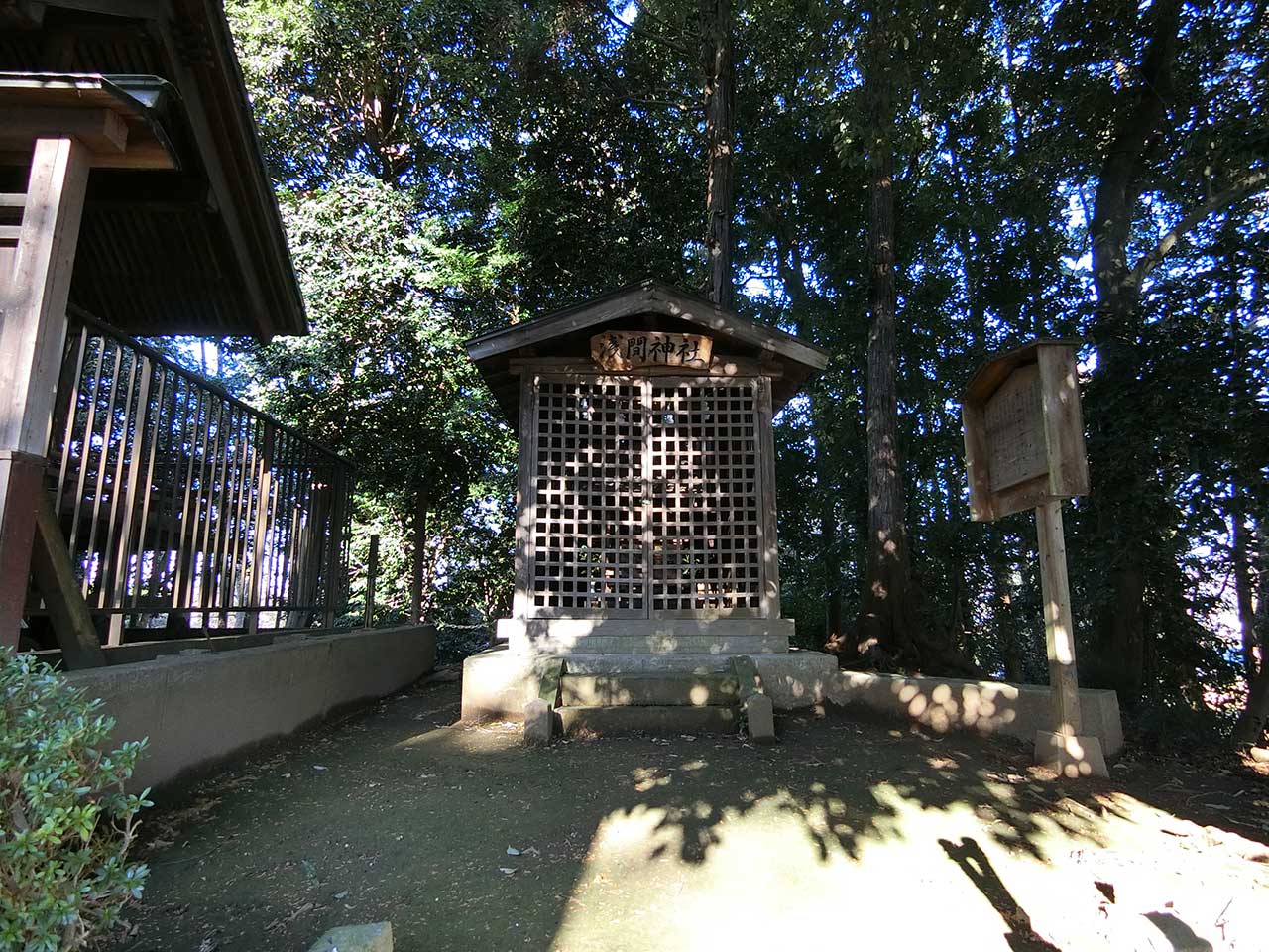 写真