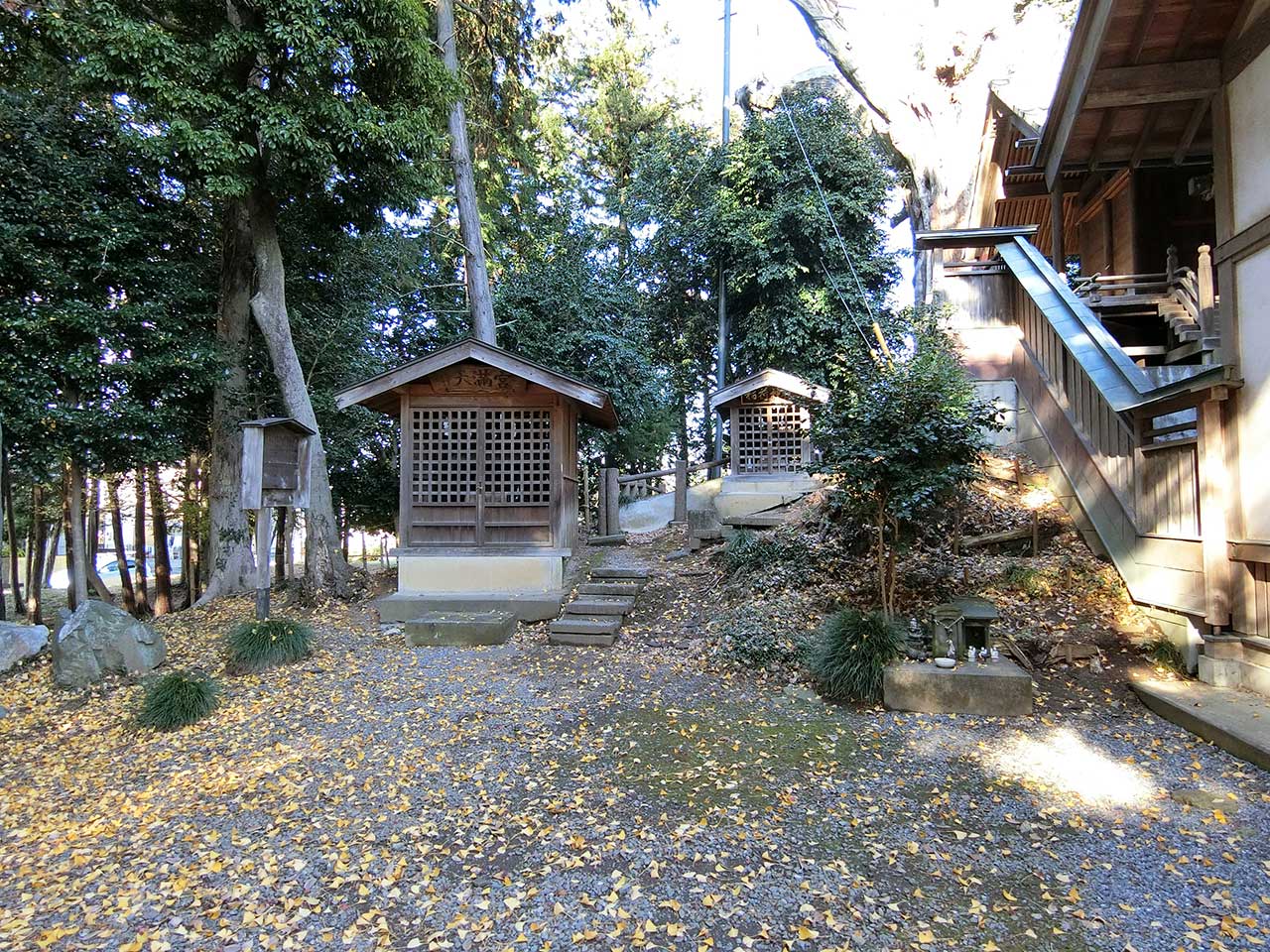 写真