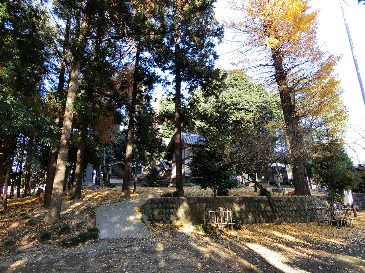 写真