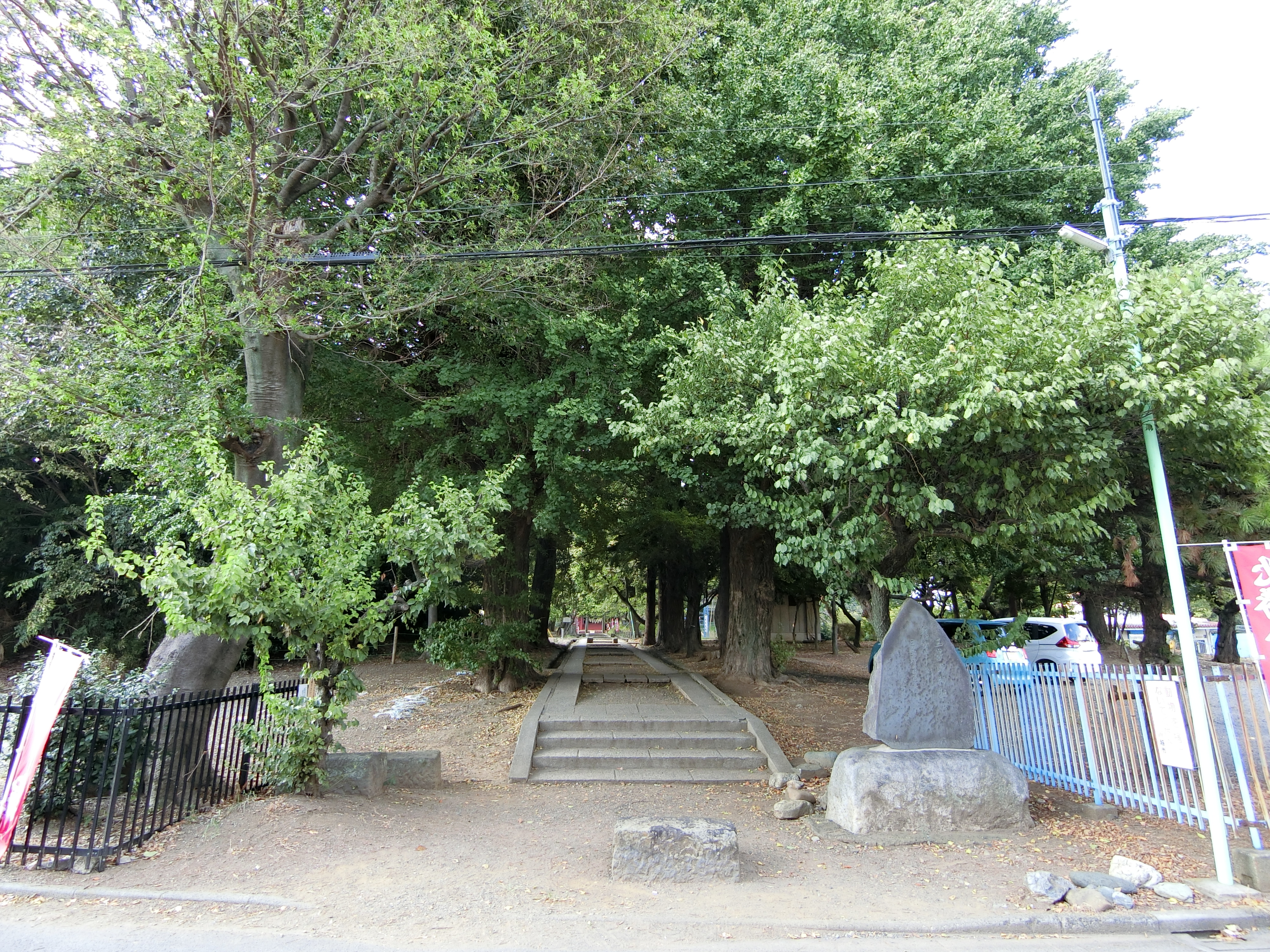 写真