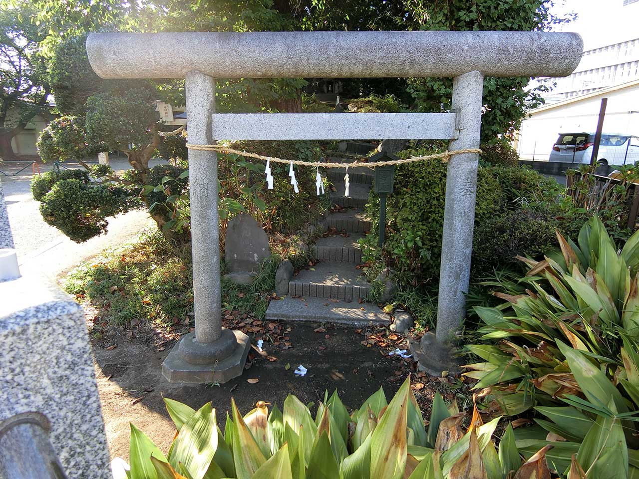 写真