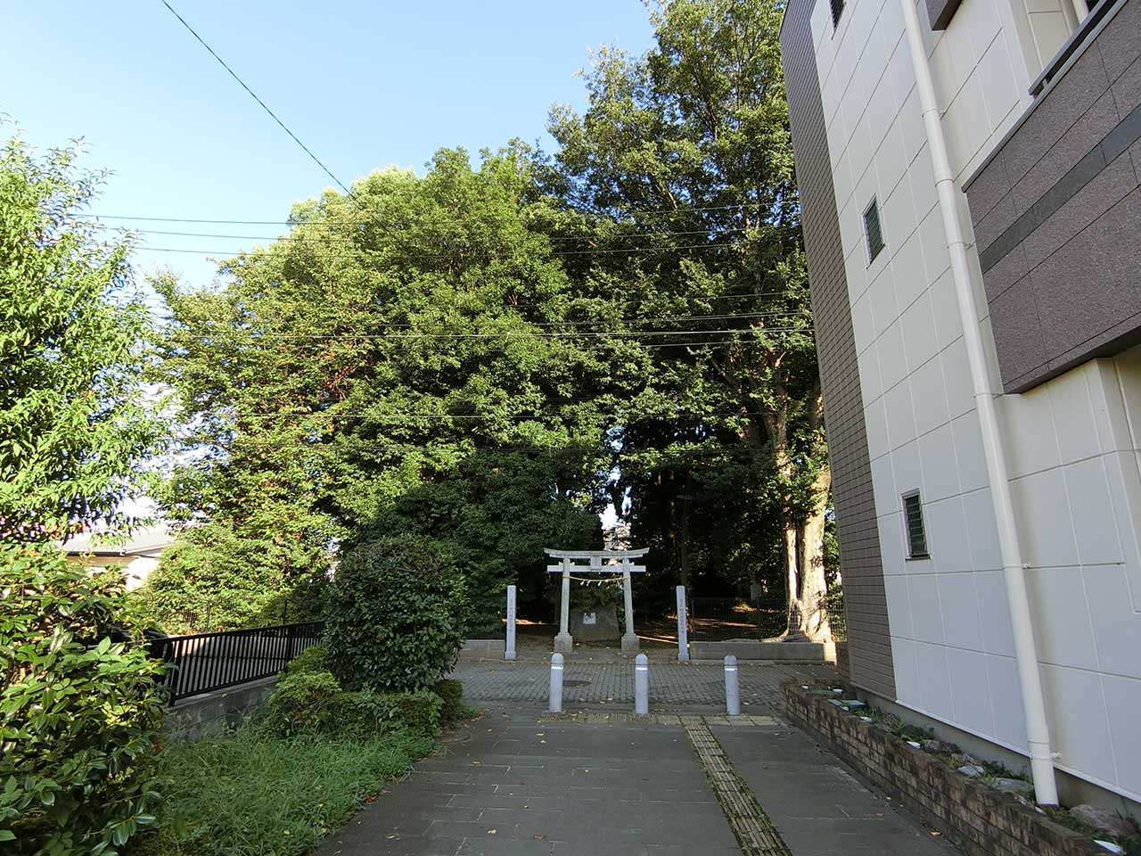 写真