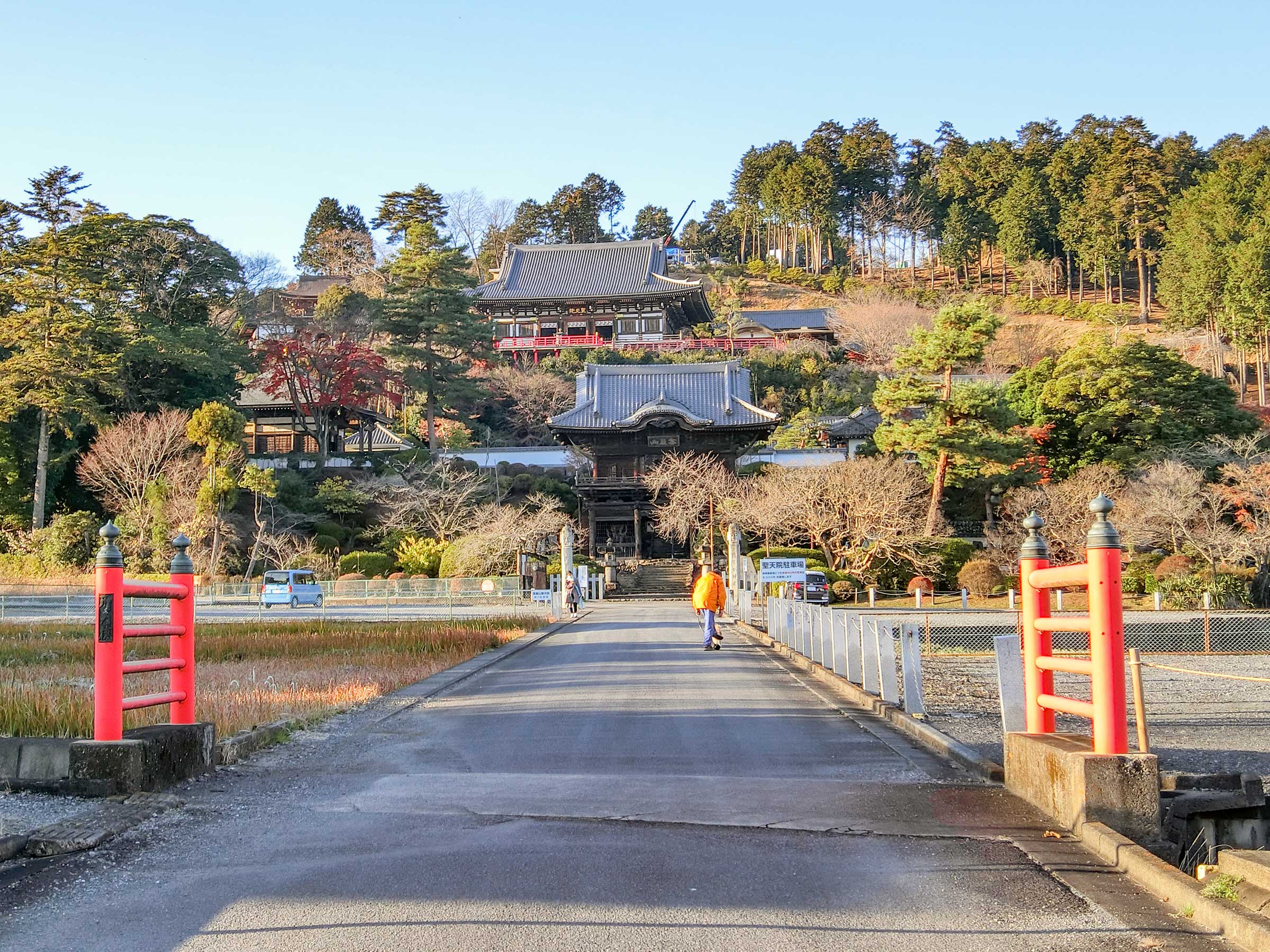 写真