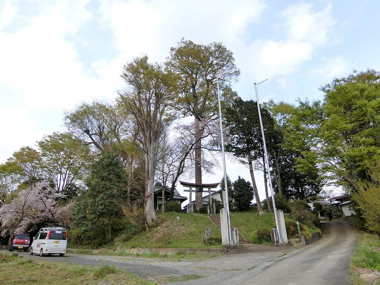 写真