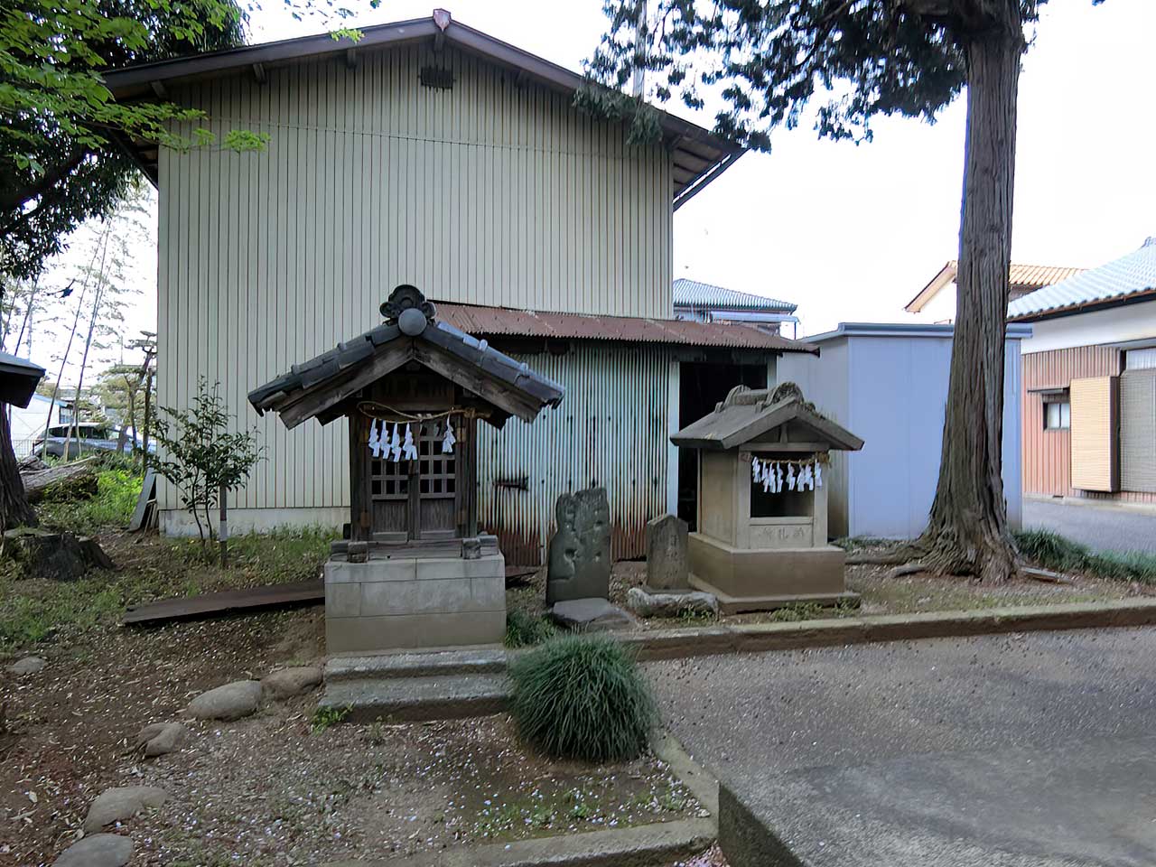 写真