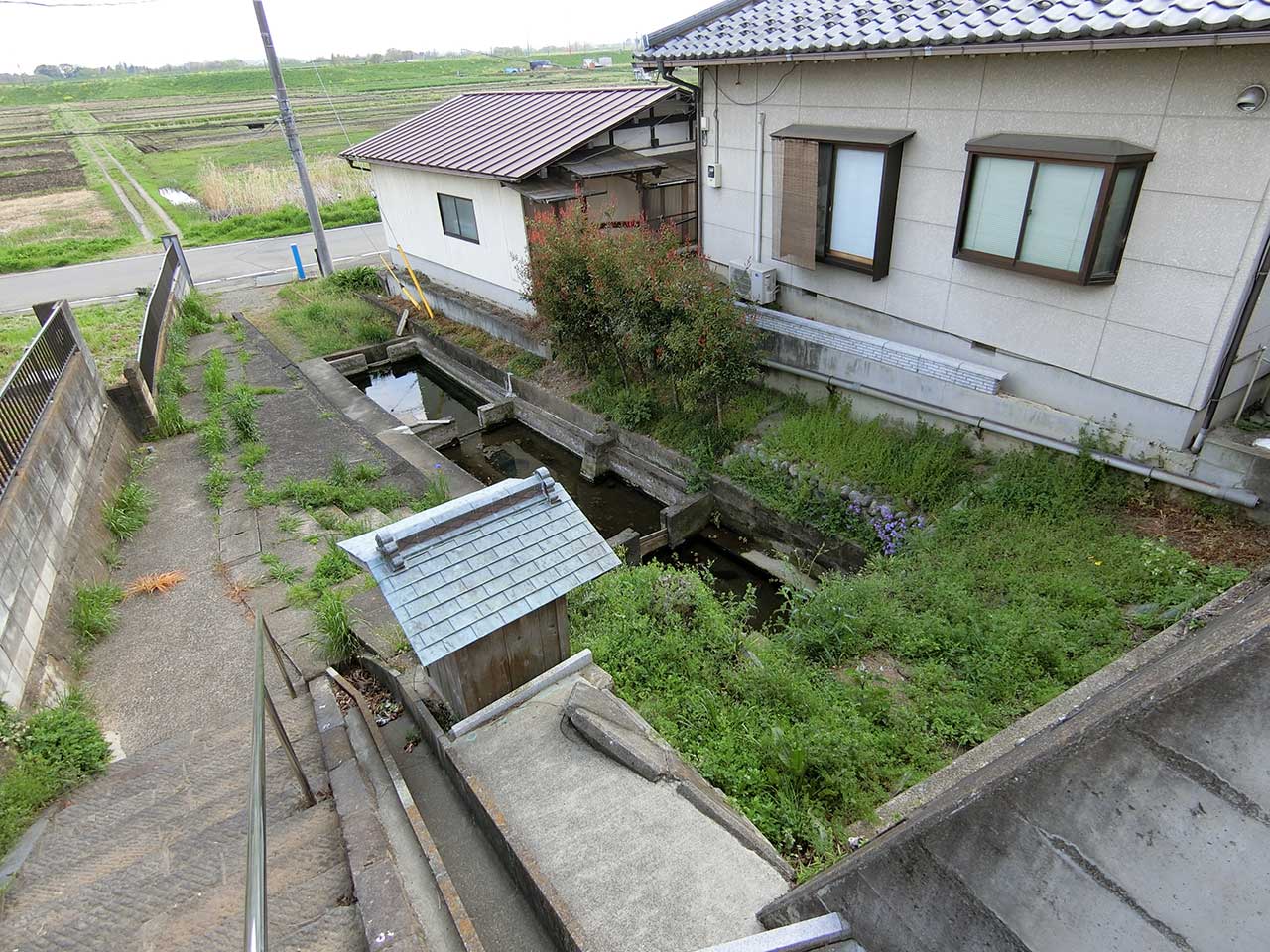 写真