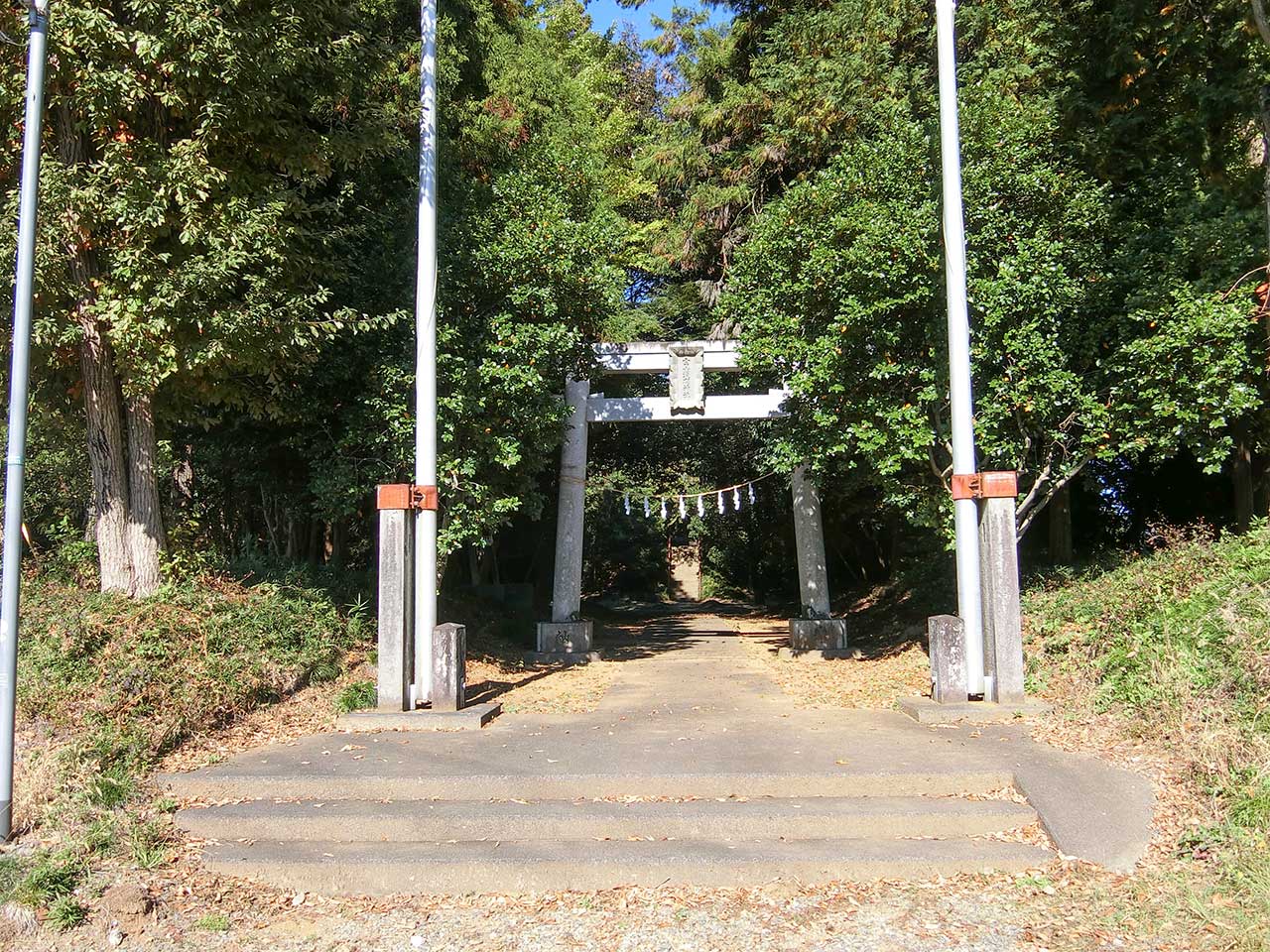 写真