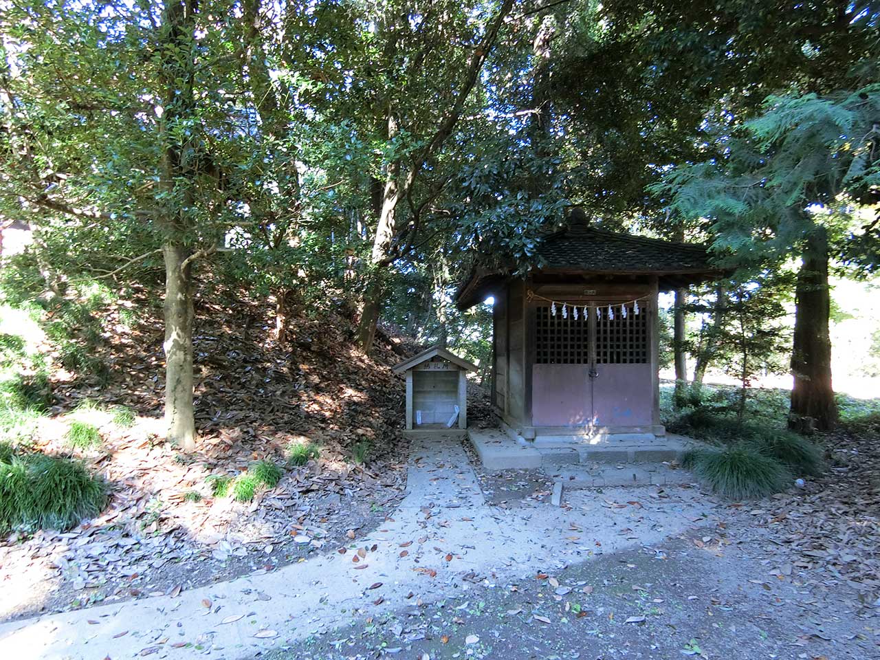 写真