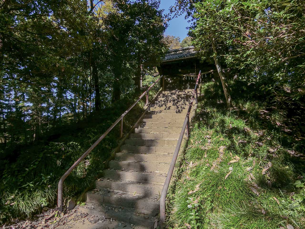 写真
