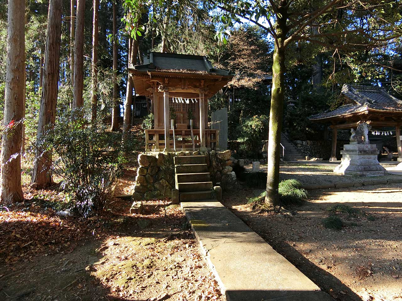 写真