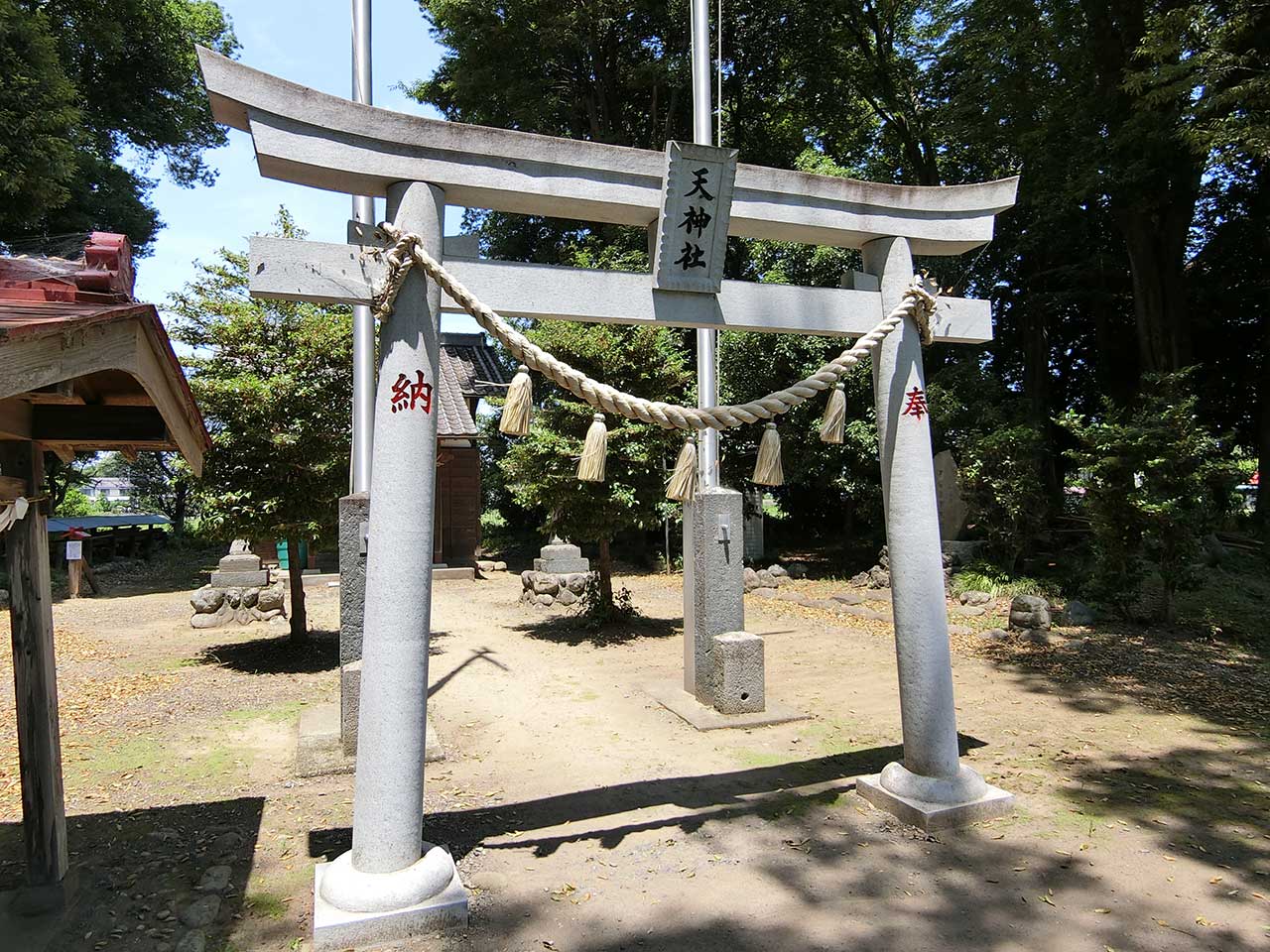 写真