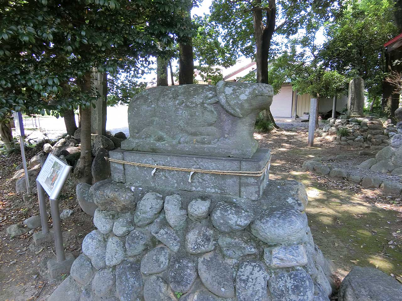 写真