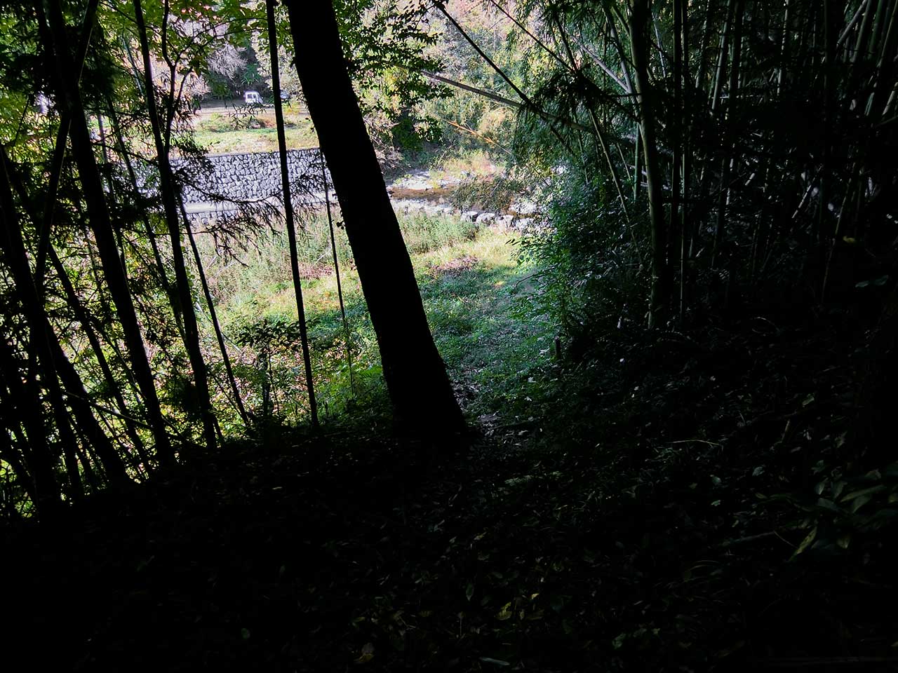 写真