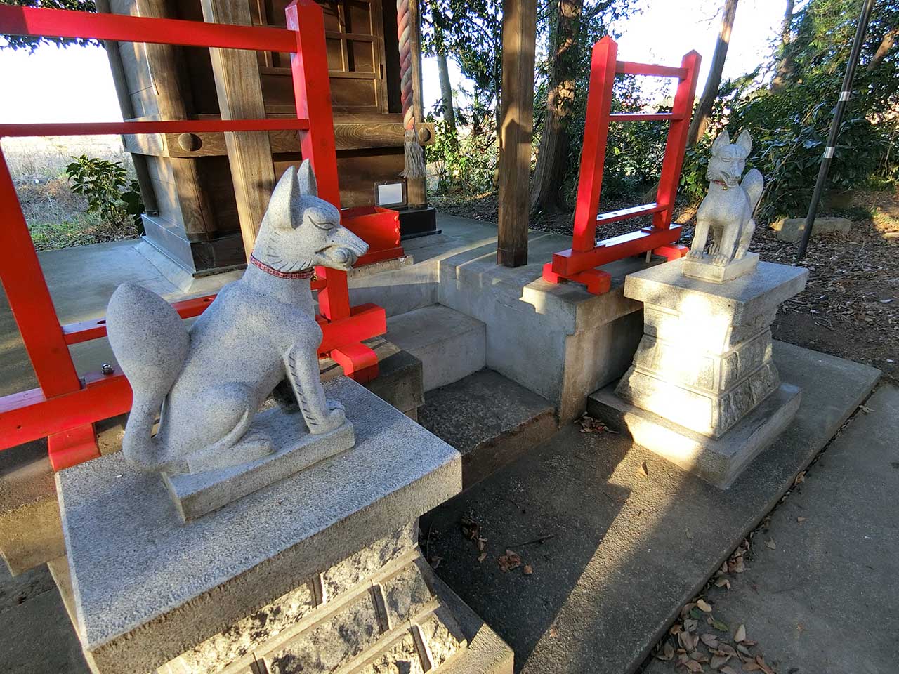 写真