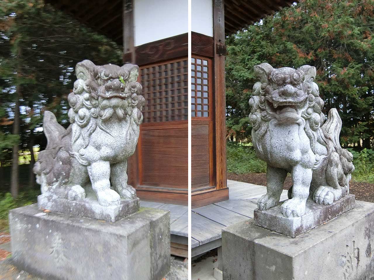 写真