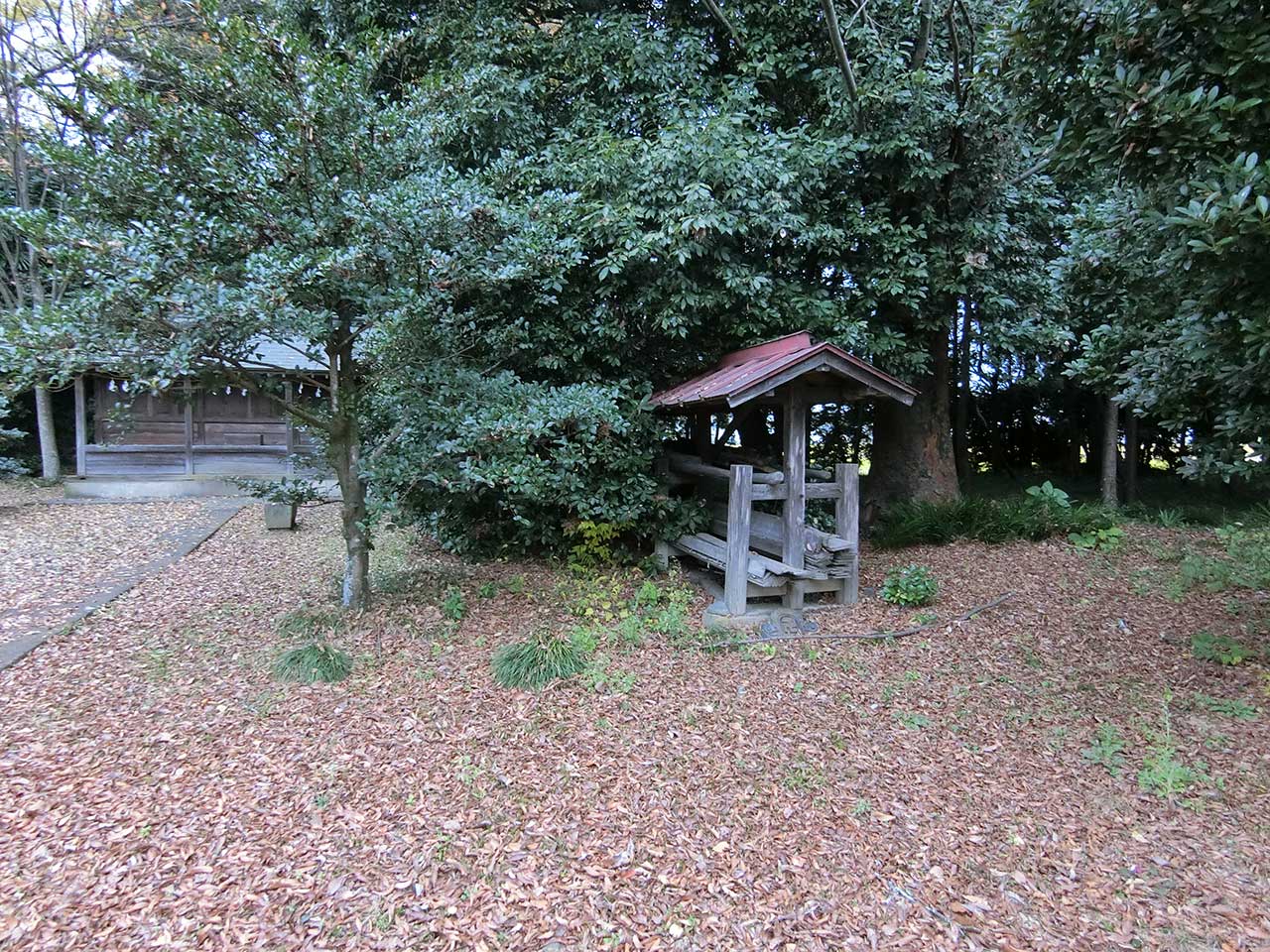 写真