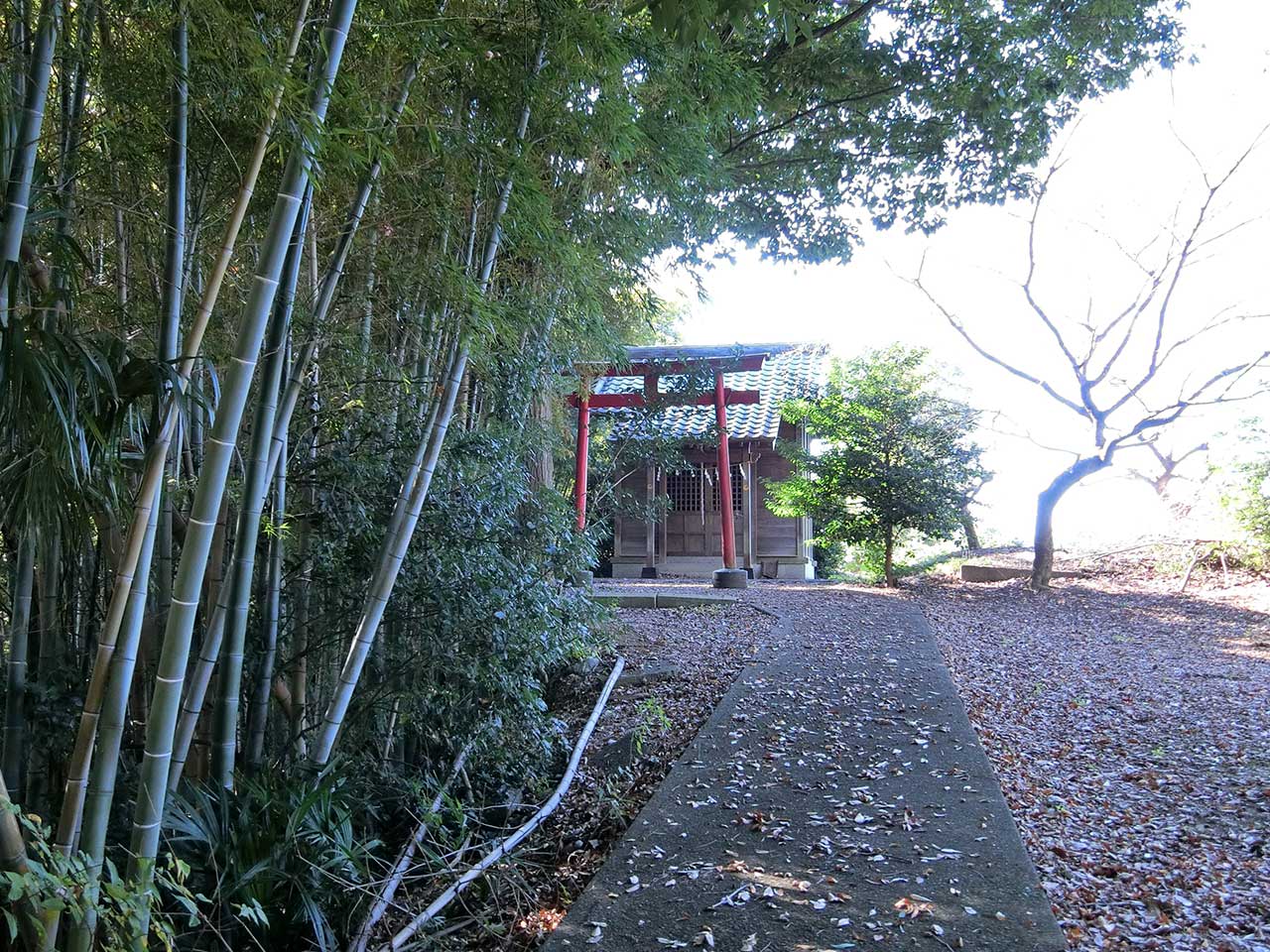 写真