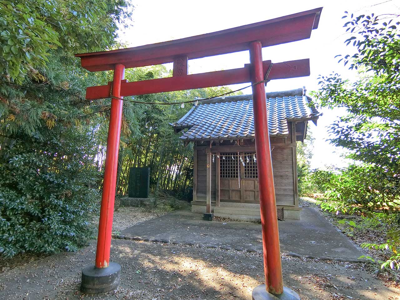 写真