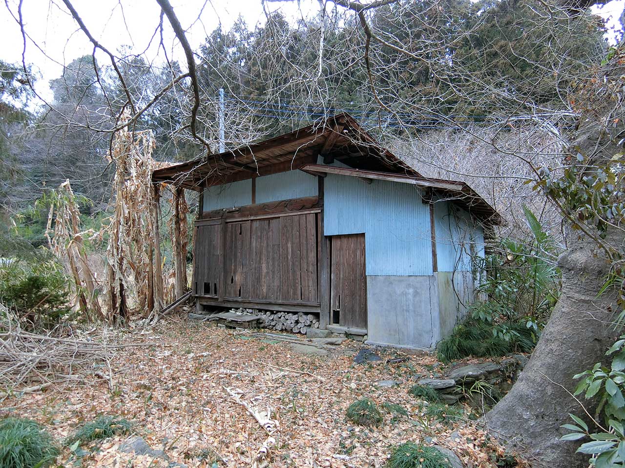 写真