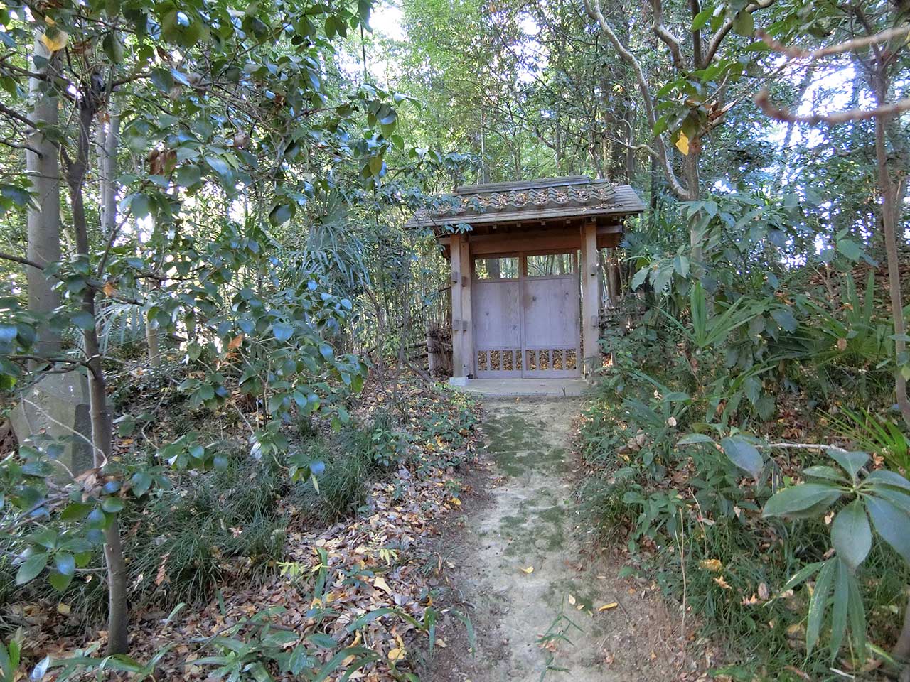 写真