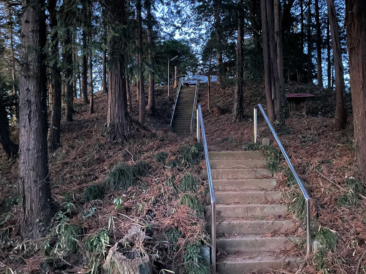写真