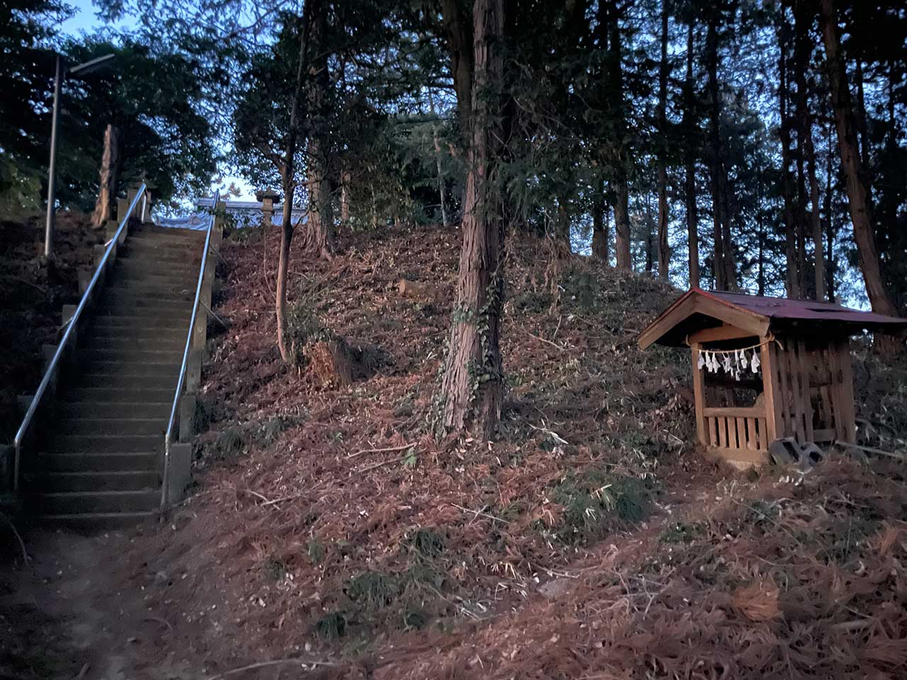 写真