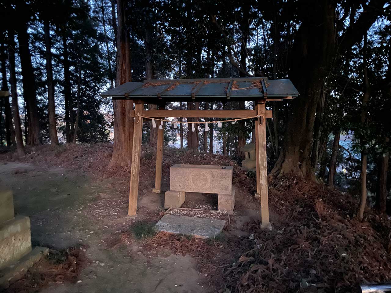 写真