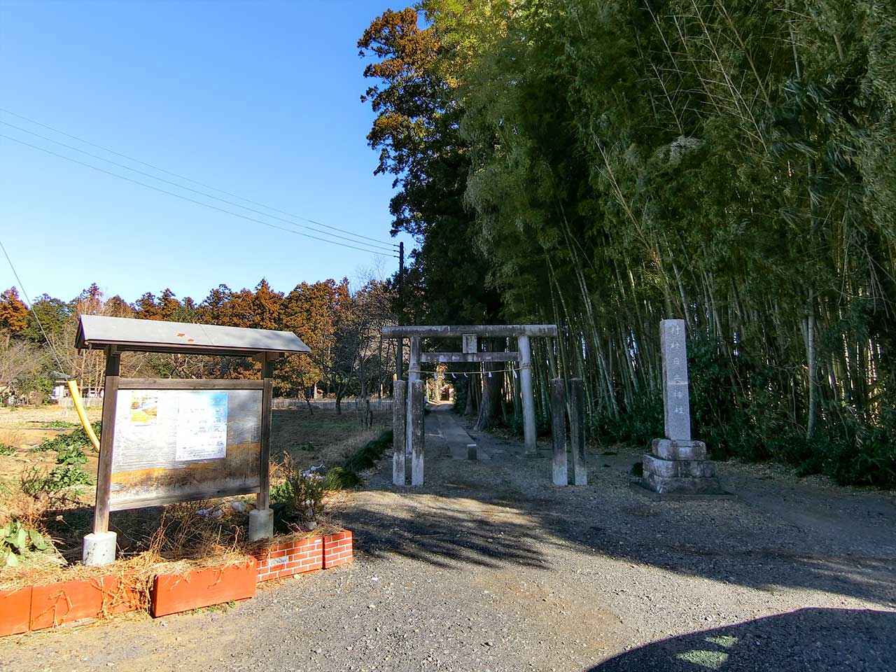 写真