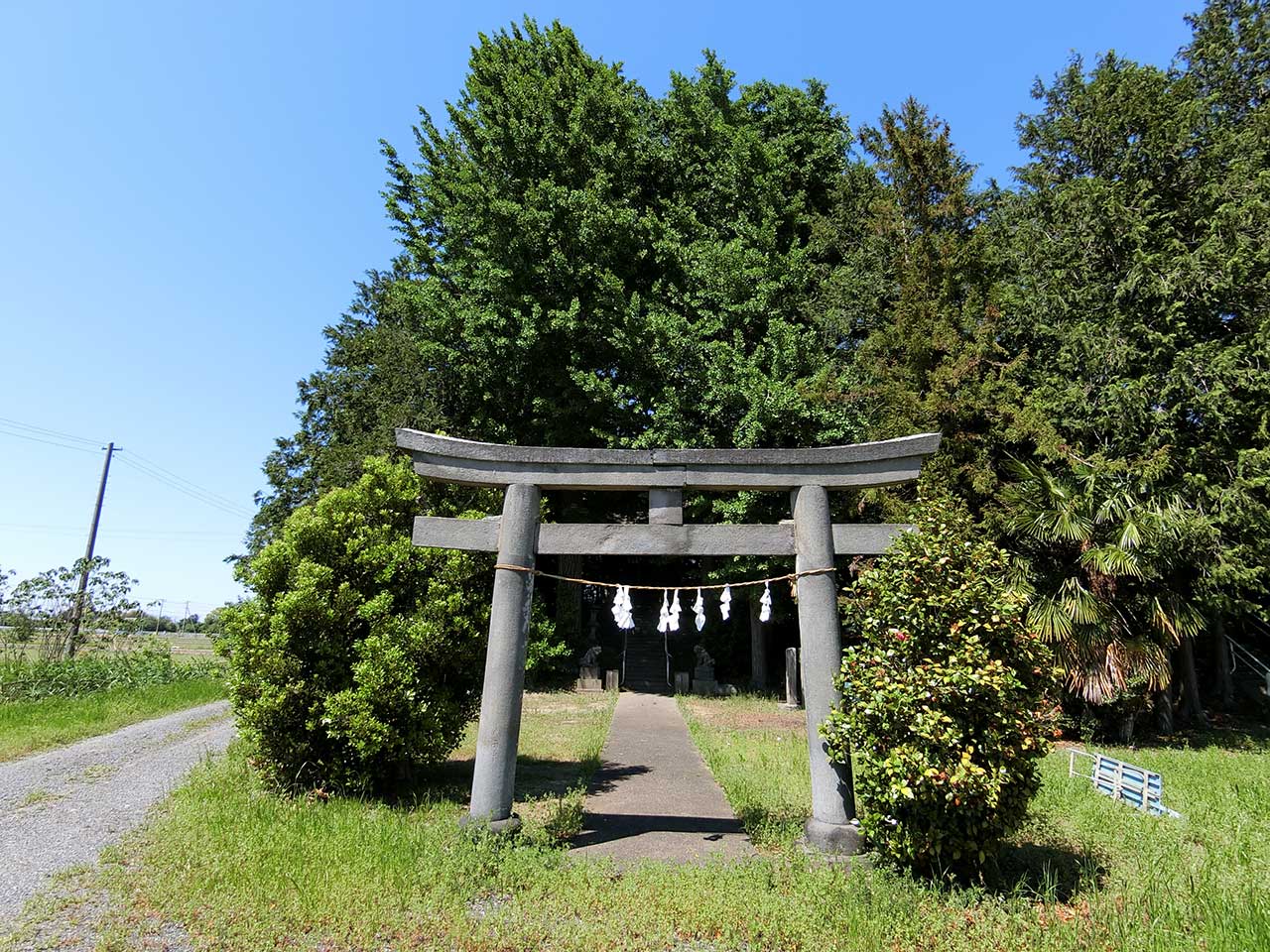 写真
