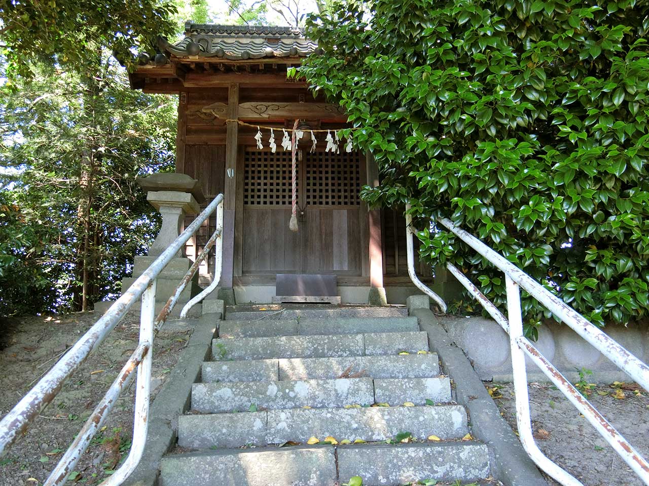 写真