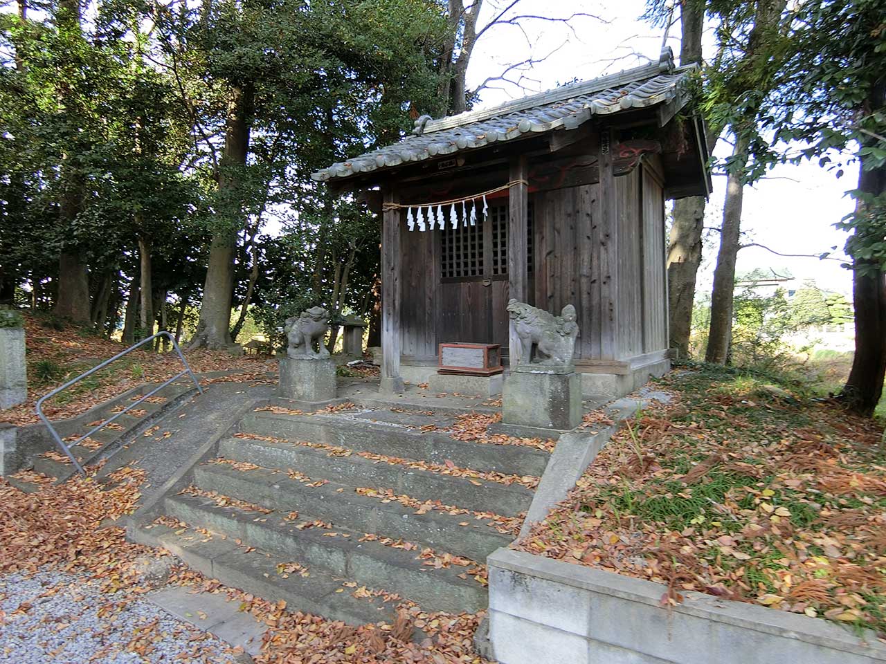 写真