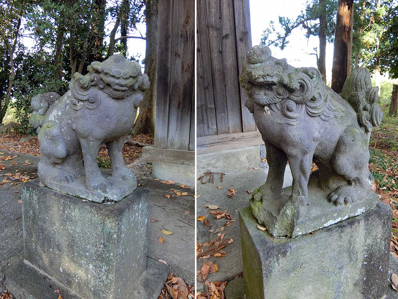 写真