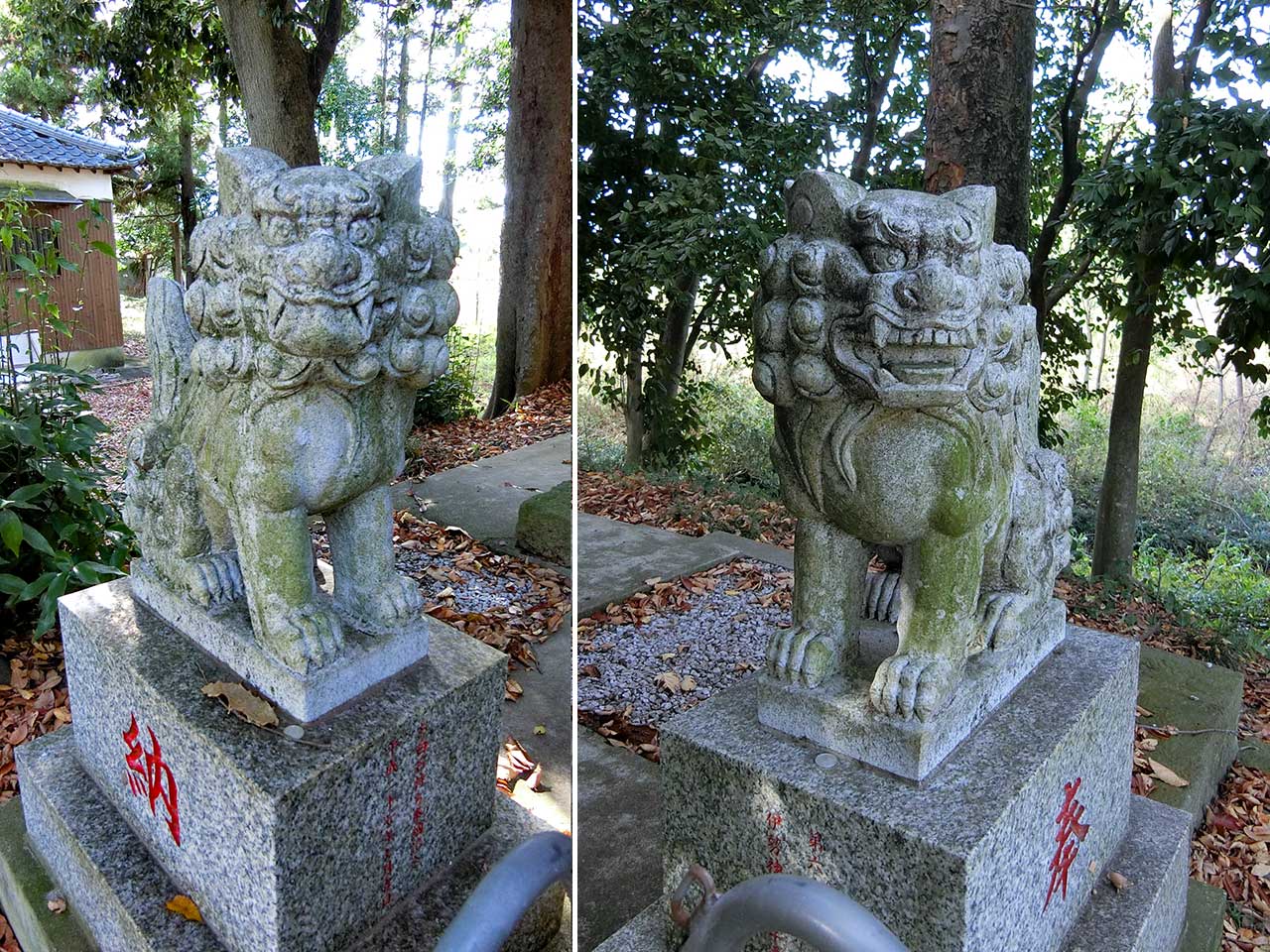 写真
