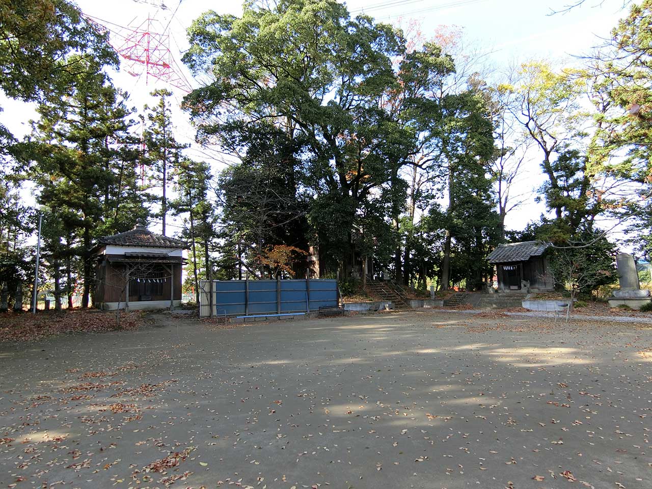 写真