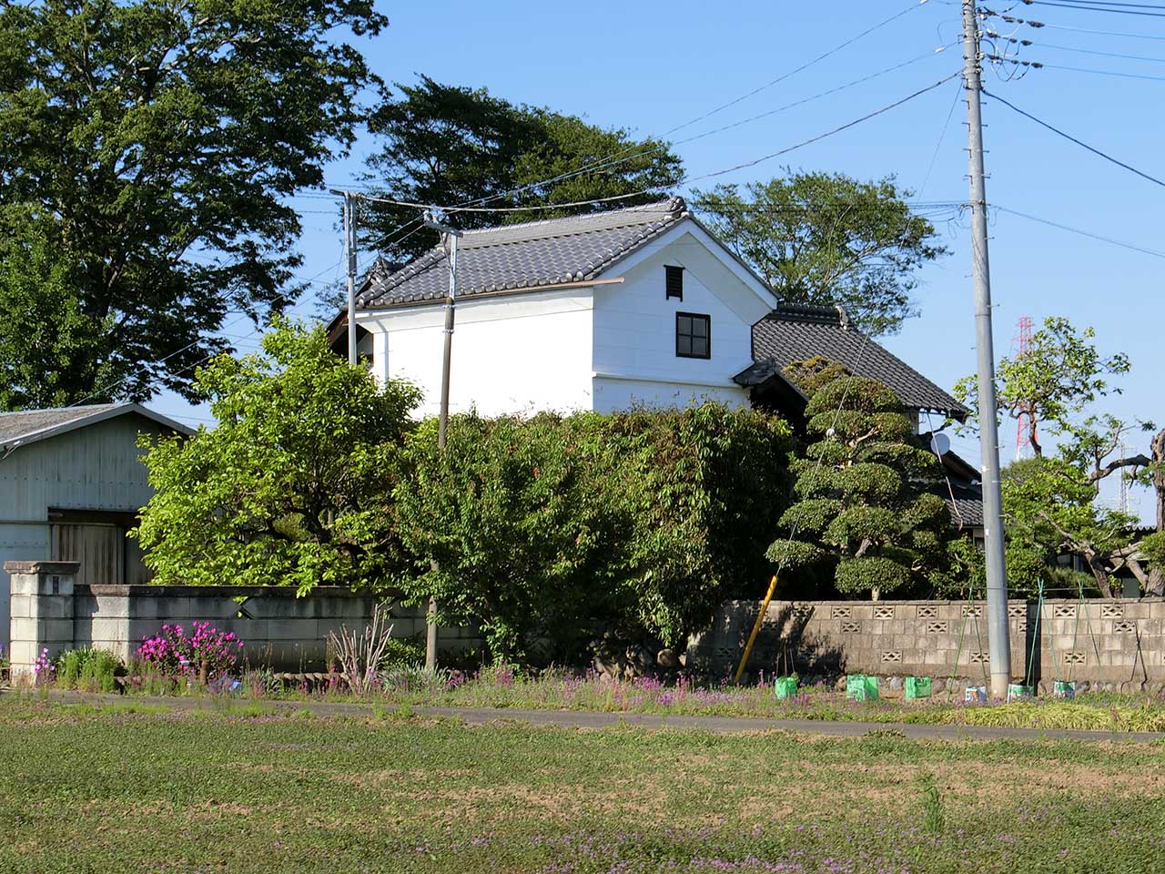 写真