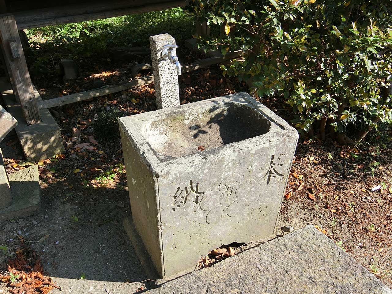 写真
