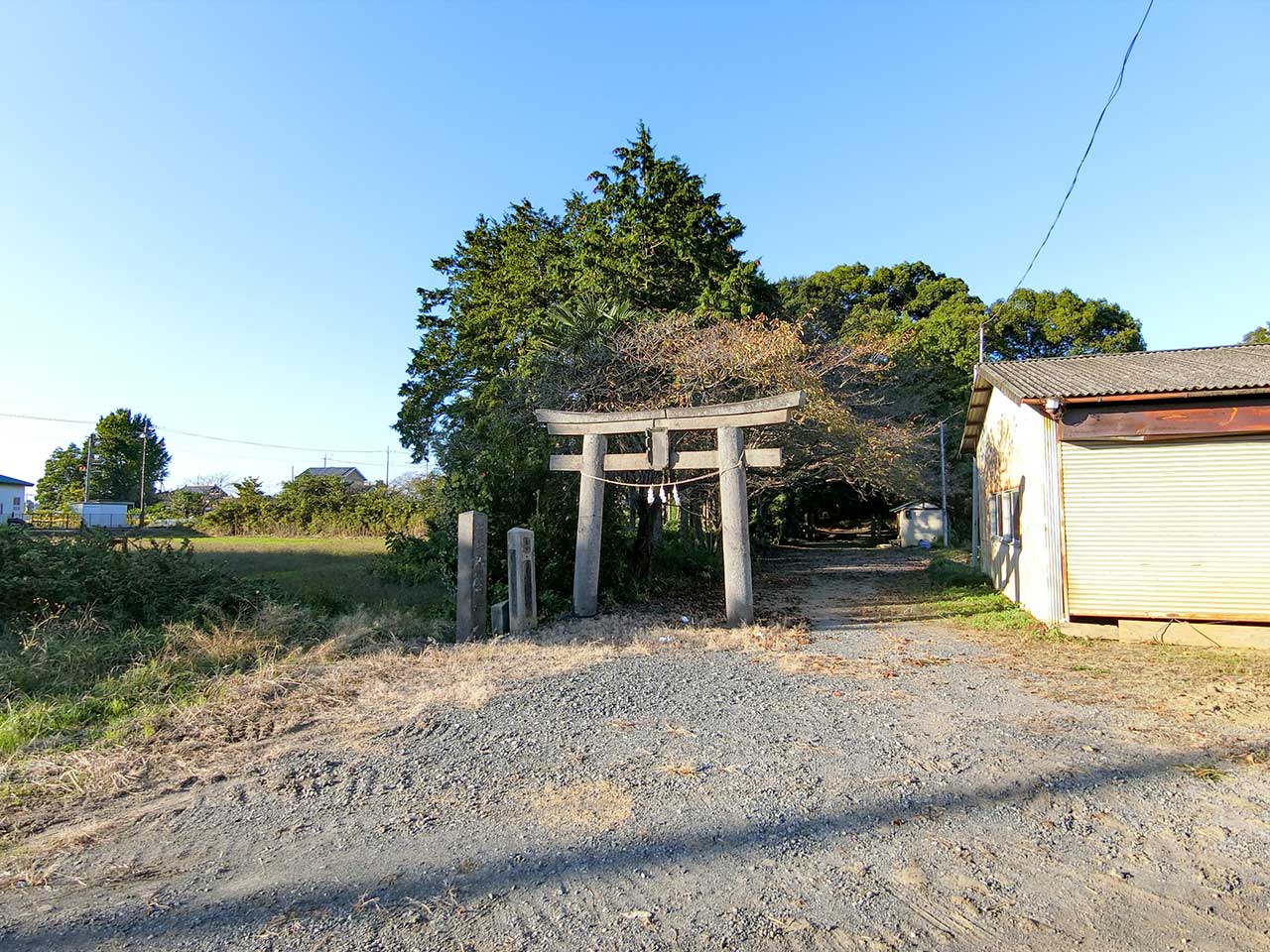 写真
