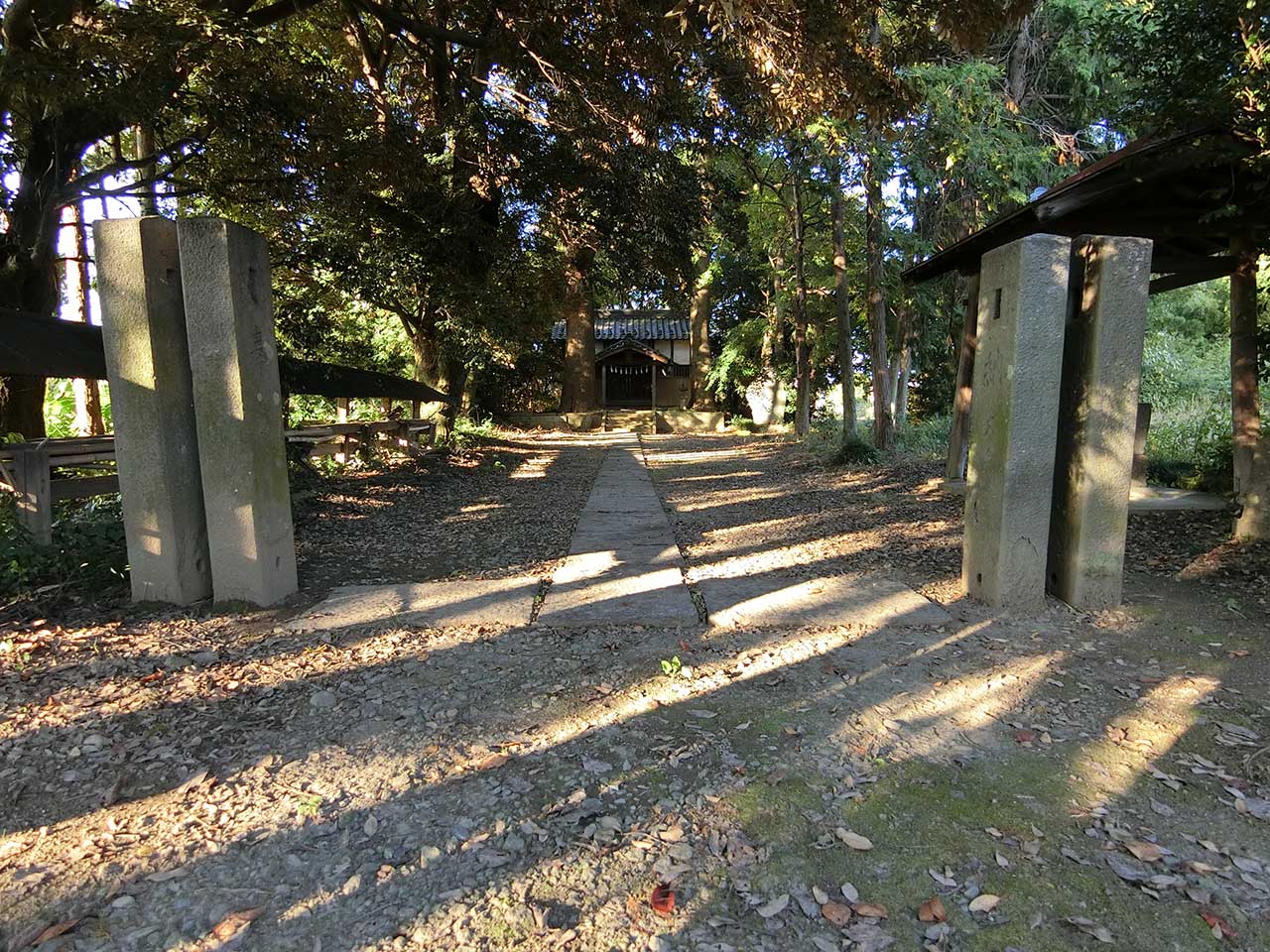 写真