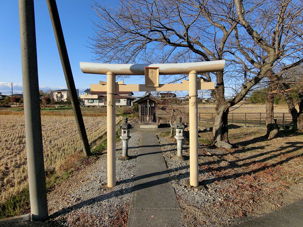 写真