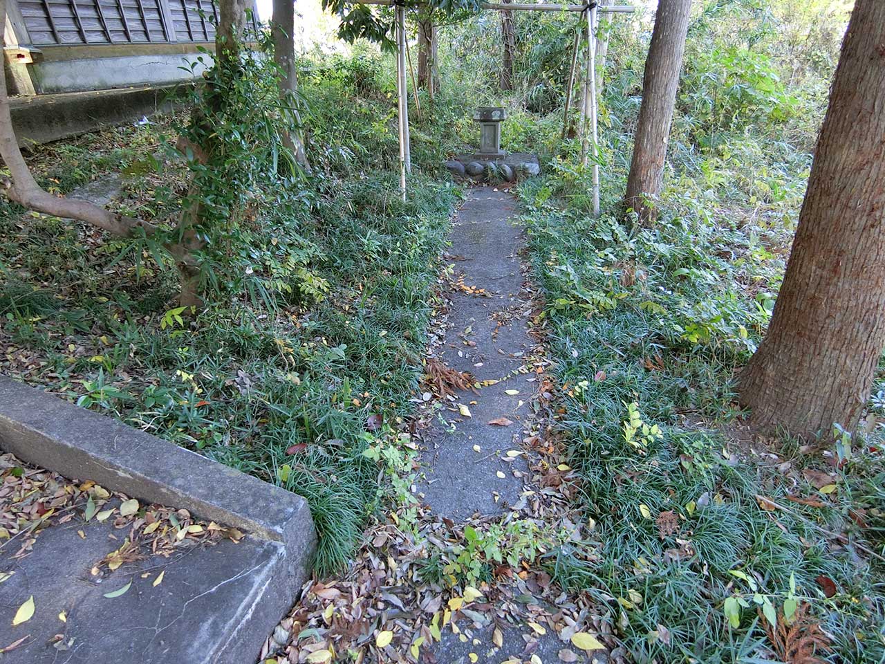 写真