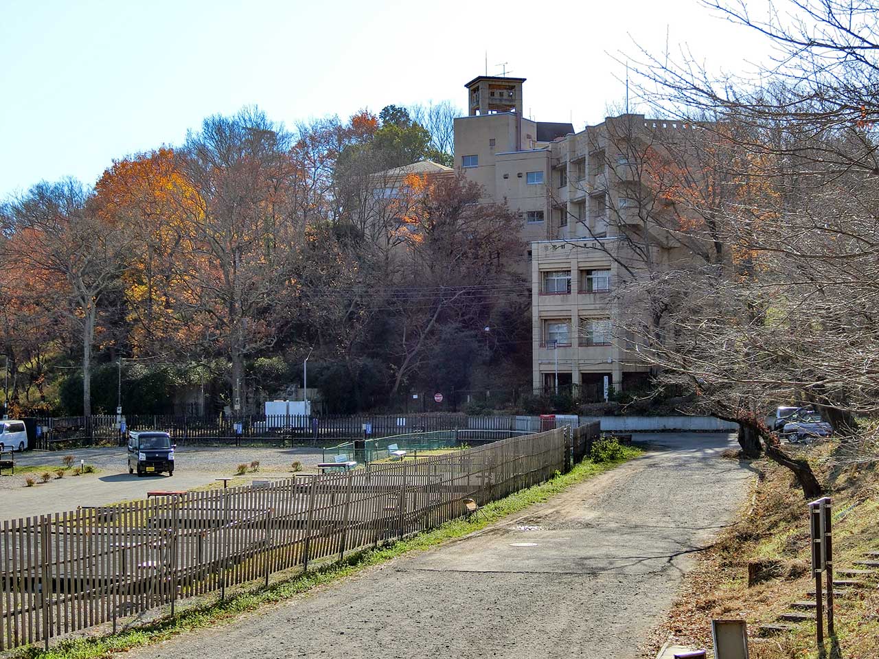 写真
