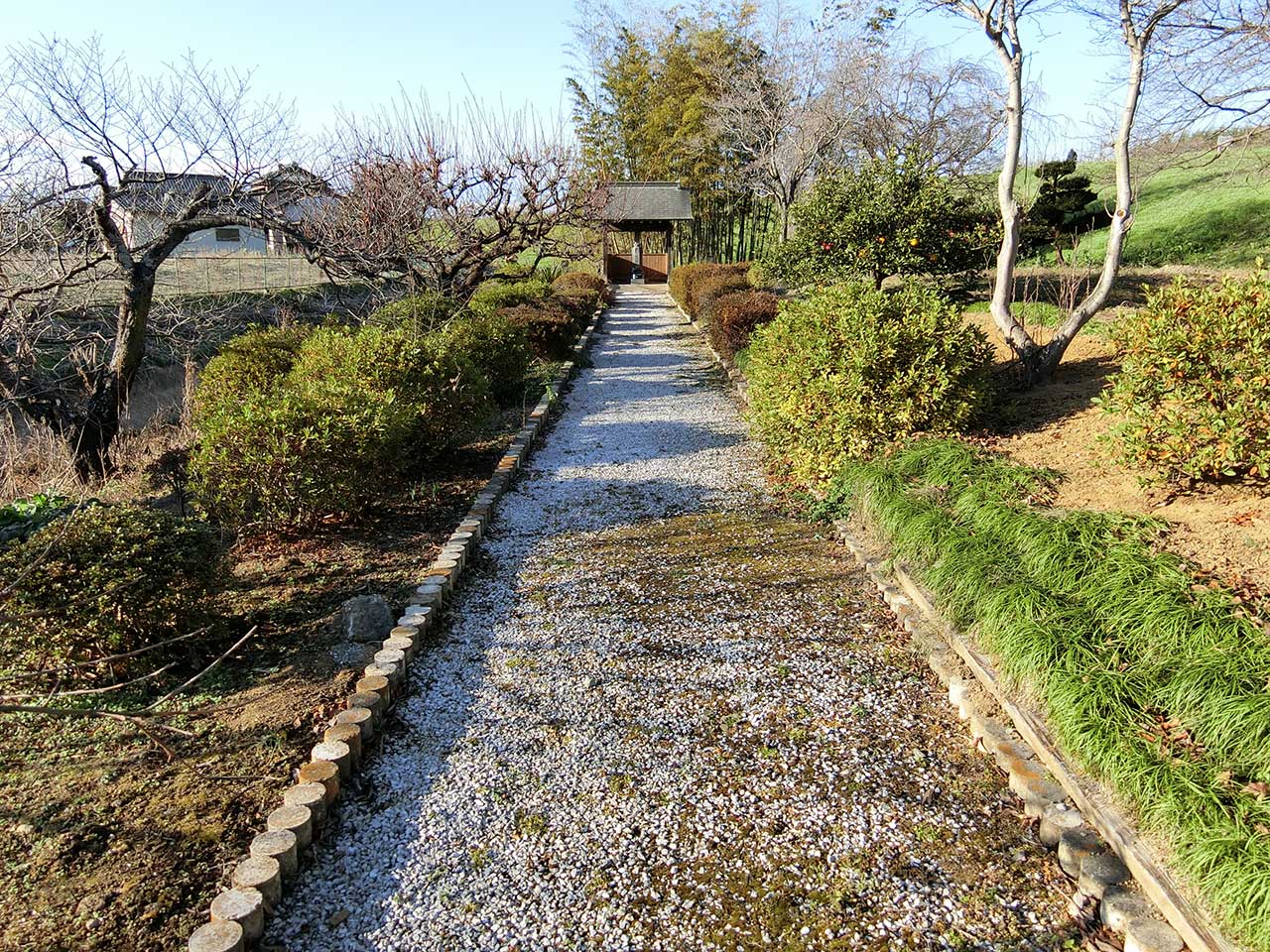 写真