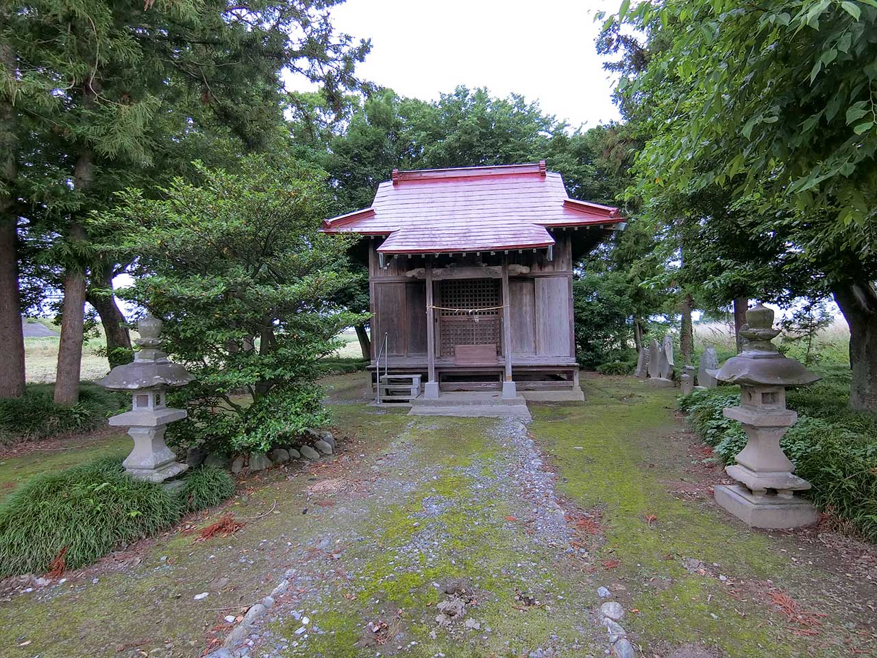 写真