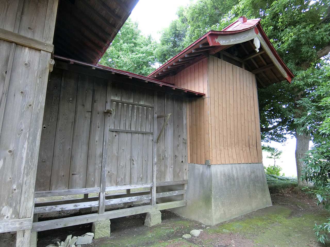写真